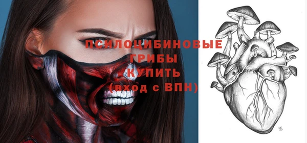 дмт Алексин